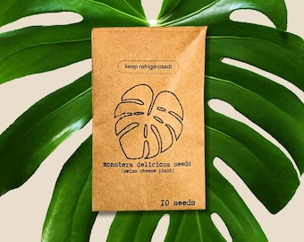 Monstera Deliciosa Seeds(Fresh and Batch-Tested Exotic Tropical Foliage Plant Seeds!) Winter Indoor Garden Activities