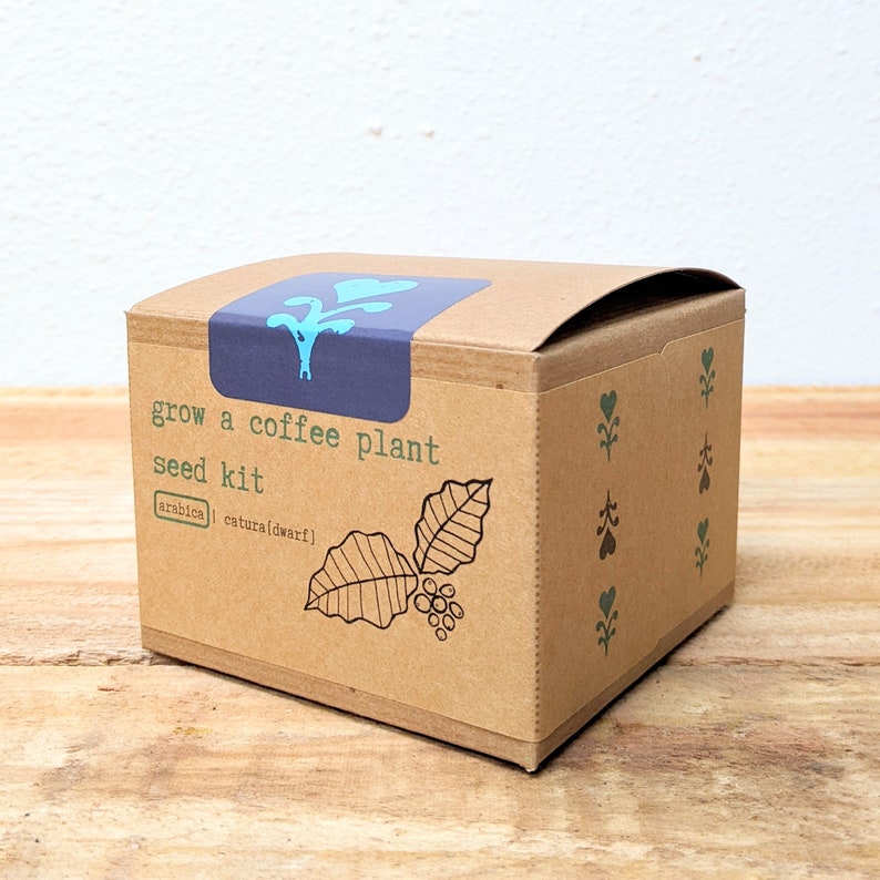 K&ouml;nnte beinhalten: Eine braune Karton-Saatgutbox mit dem Text "grow a coffee plant seed kit" und einer Grafik von Kaffeebl&auml;ttern und -bohnen. Die Box hat ein blaues Etikett mit einer Pflanzengrafik. Die Box steht auf einer Holzoberfl&auml;che.