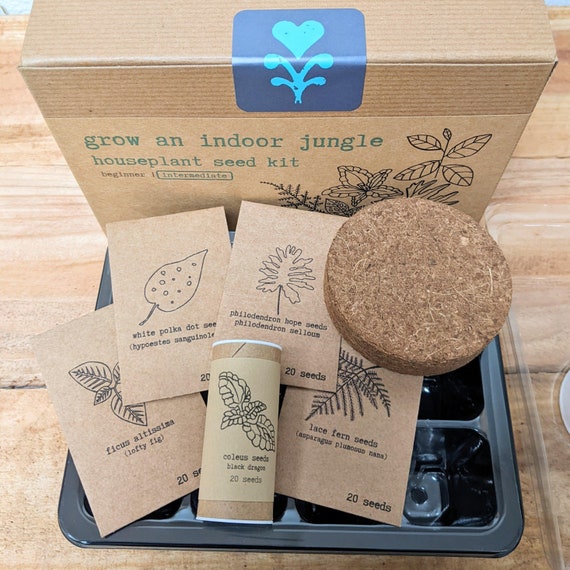 Grow an Indoor Jungle Houseplant Seed Kit Beginner
