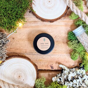 May include: A small black jar with a white label that reads "baby toes (fenestraria aurantiaca)" on a wooden surface with moss and a small glass vial.