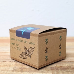 May include: A brown seed kit box with the text "grow a polka dot plant seed kit". The box has a blue label and a black and white illustration of a leaf. The box also has green heart and leaf designs.