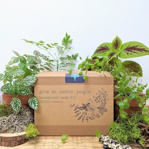 A &quot;Grow an Indoor Jungle&quot; Houseplant Seed Kit