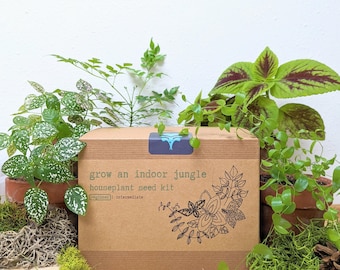 Kit de semillas para plantas de interior "Cultiva una jungla en interiores"