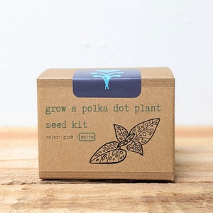 May include: A brown cardboard seed kit box with the text "Grow a polka dot plant seed kit." The box has a blue label with a teal graphic. The text "color: pink | white" is printed on the box, along with a black and white illustration of a plant.