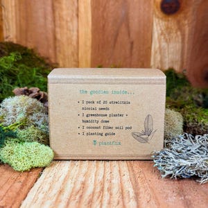 Puede incluir: Una caja de cart&oacute;n marr&oacute;n con el texto "the goodies inside..." y una lista de art&iacute;culos incluidos: "1 pack of 20 strelitzia nicolai seeds", "1 greenhouse planter + humidity dome", "1 coconut fiber soil pod", "1 planting guide". La caja tambi&eacute;n tiene el texto "plantflix" con un peque&ntilde;o icono de planta.