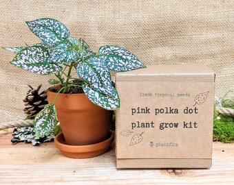 Flower Grow Kit Etsy