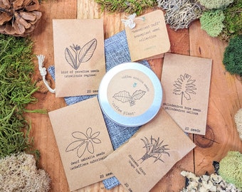 Houseplant Seed Collection "Houseplant Buff" Houseplant Seed Collection