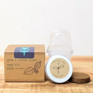 K&ouml;nnte beinhalten: Ein Samen-Set zum Anbau einer Kaffeepflanze. Es enth&auml;lt eine Pappschachtel mit der Aufschrift "grow a coffee plant seed kit", eine transparente Kunststoffhaube, eine Metalldose und eine braune Erdscheibe.
