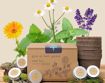 Grow an Herb Garden Seed Kit 'Herbal Teas' (Indoor Windowsill Garden, Heirloom non-GMO seeds, Winter Activities, Hobbies, Gifts)