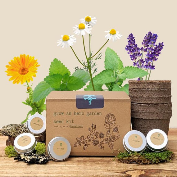 Grow an Herb Garden Seed Kit 'herbal Teas' (indoor Windowsill Garden,  Heirloom Non-gmo Seeds, Winter Activities, Hobbies, Gifts) - Etsy
