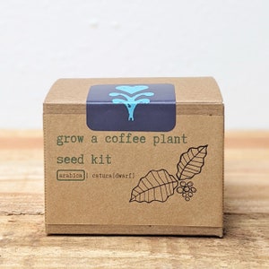 Grow a Coffee Plant Seed Kit - Plantflix