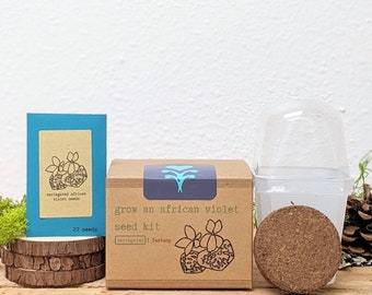 Kit para cultivar semillas de violeta africana