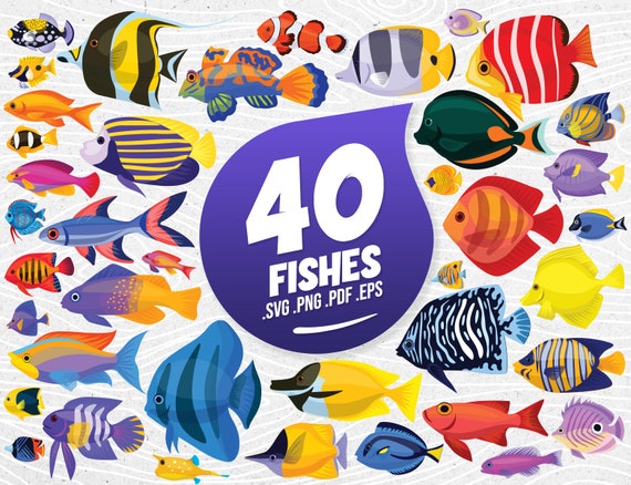 Download 40 Tropical Fish Svg Ocean Clipart Gold Fish Png Svg Files Etsy
