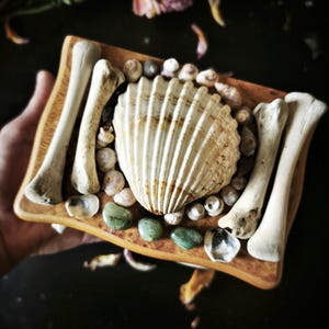 Ocean Witch Keepsake Box – Real Bone, Shell & Stone Altar from Reclaimed Wood | Vulture Culture Eco Rustic Decor