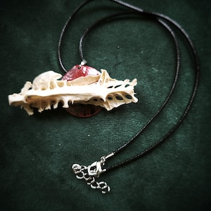 Vertebra & Blood Moon – Real Bone Necklace | Gothic Boho | Upcycled Vulture Culture Jewelry