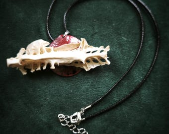 Vertebra & Blood Moon – Real Bone Necklace | Gothic Boho | Upcycled Vulture Culture Jewelry