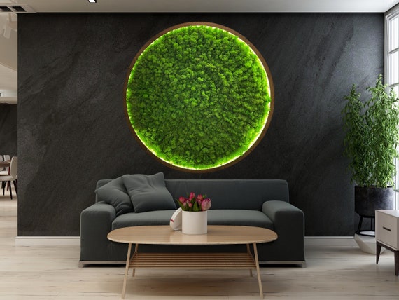 Natural Dried Moss Wall Decor With Led, Oversized Moss Wall Art, Live Moss  Wall Decor, Extra Large Moss Decor, Preserved Moss Wall Art 