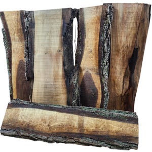 2ft Long Sapwood One Side Walnut Live Edge Slab