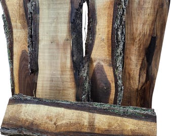 2ft Long Sapwood One Side Walnut Live Edge Slab