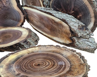 Black Walnut Live Edge Cookie and Oval Slabs- kiln dried - surfaced or rough sawn