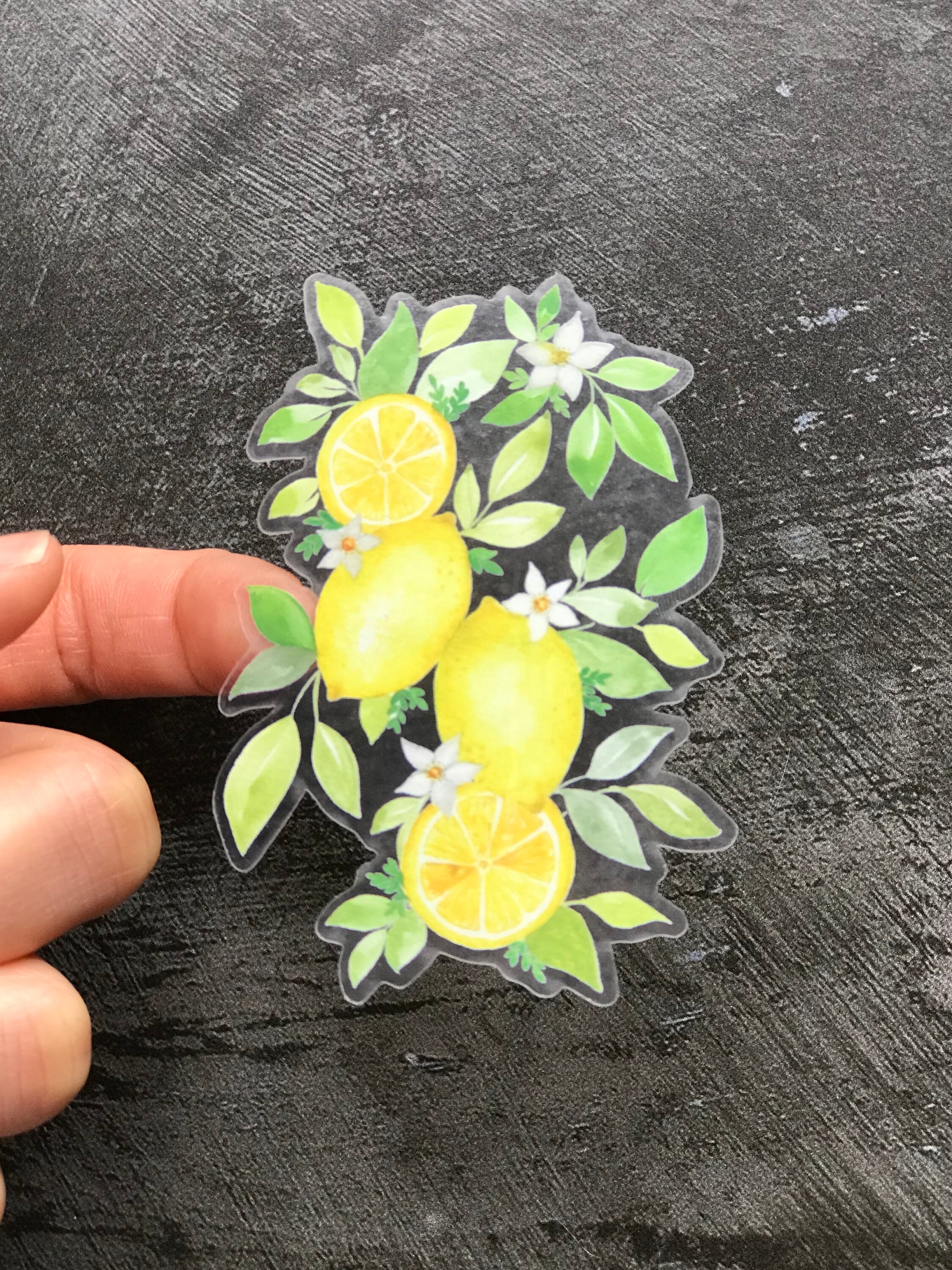 Lemon Sticker Transparent Sticker Etsy UK