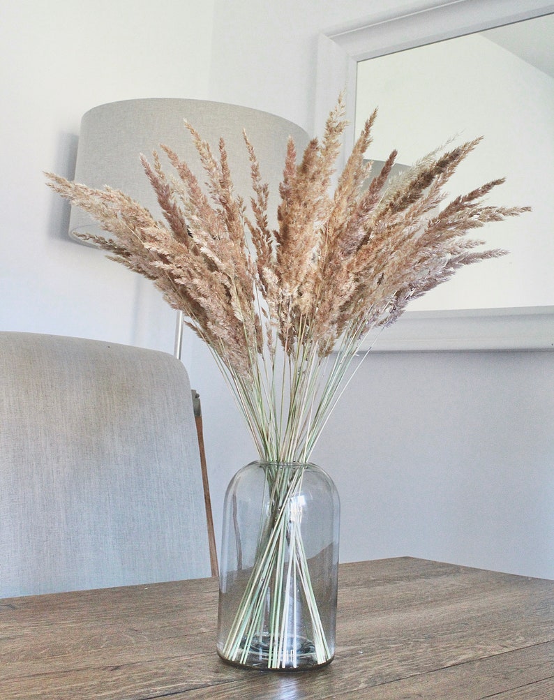Dried Pampas grass family 50pcs natural large 50cm tall Etsy
