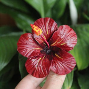 Tropical Hibiscus Flower,Hawaiian hair clip,