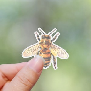 Può includere: Un'illustrazione ad acquerello di un'ape con strisce marroni e gialle. L'ape è raffigurata con le ali spiegate e le zampe allungate. L'ape è su uno sfondo bianco.