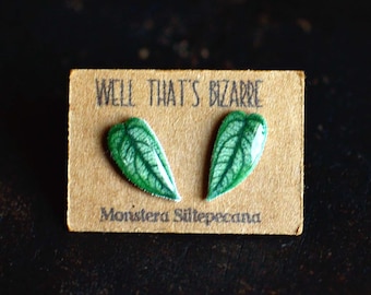 Monstera Siltepecana Leaf Stud Earrings: Plant Lover Jewelry
