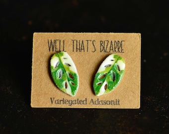 Variegated Monstera Leaf Earrings: Plant Lover Studs