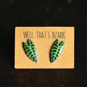 Alocasia Polly Plant Earrings: Lightweight Resin Leaf Studs