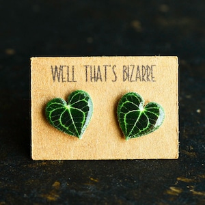 Anthurium Clarinervium Earrings | Studs | Plant Jewelry | Plant Lover Gifts | Realistic Leaf Earrings