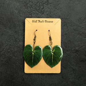 Philodendron Gloriosum Earrings | Dangles | Plant Jewelry | Plant Lover Gifts | Realistic Leaf Earrings | Lightweight