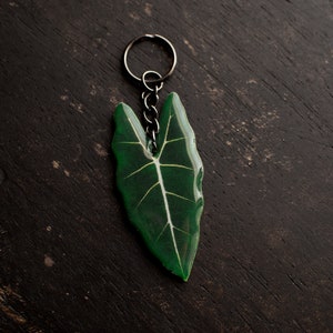 Puede incluir: Un llavero con forma de hoja verde con un anillo y una cadena de metal plateado. La hoja tiene una vena blanca que recorre el centro.