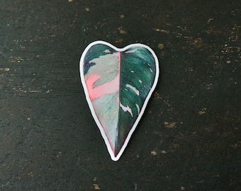 Pink Princess Philodendron Sticker | Plant Decal | Botanical Sticker | Vinyl