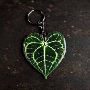 Anthurium Clarinervium | Plant Keychain | Plant Lover gift | Plant Accessories | Botanical Keyring | Plant Charms | Mothers Day Gift