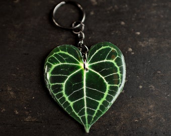 Anthurium Clarinervium Schlüsselanhänger: Geschenk für Pflanzenliebhaber