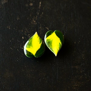 May include: A pair of green and yellow heart-shaped earrings. The earrings are made of resin and have a glossy finish.