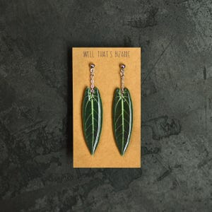 Anthurium Warocqueanum Earrings | Stud | Dangles | Plant Jewelry | Plant Lover Gifts | Realistic Leaf Earrings | Lightweight
