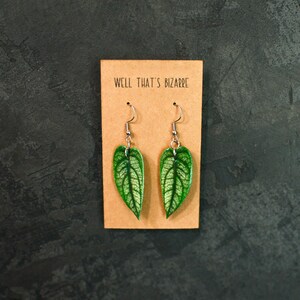 Monstera Siltepenca Leaf Earrings: Lightweight Plant Jewelry