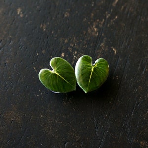 May include: Two green heart-shaped leaves on a dark wood background.