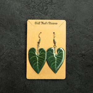 Anthurium Regale Earrings | Dangles | Plant Jewelry | Plant Lover Gifts | Realistic Leaf Earrings | Lightweight