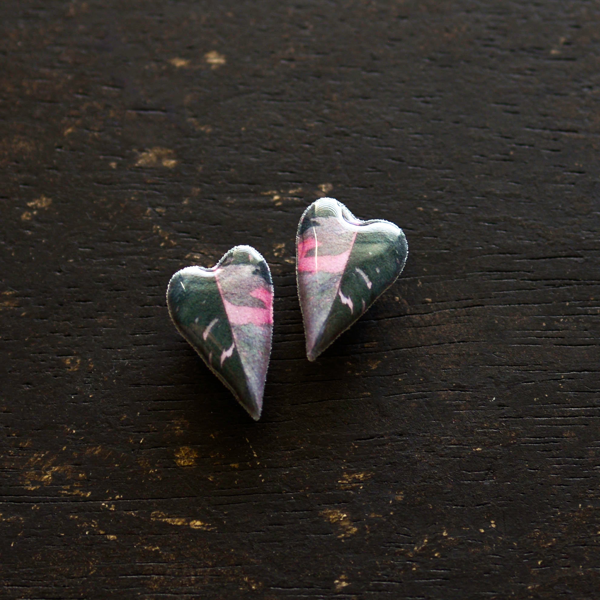 Philodendron pink princess - Etsy 日本