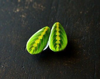 Calathea Maranta Plant Shoe Charm or Lapel Pin