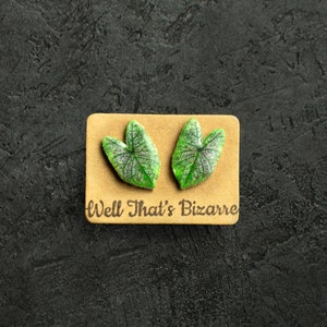 Caladium Leaf Stud Earrings | Hypoallergenic Plant Jewelry