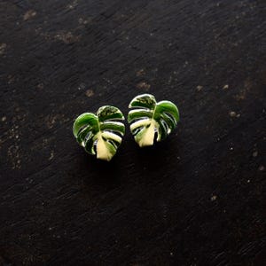 May include: A pair of green and white leaf-shaped earrings. The earrings are made of a smooth, glossy material and have a realistic leaf design.
