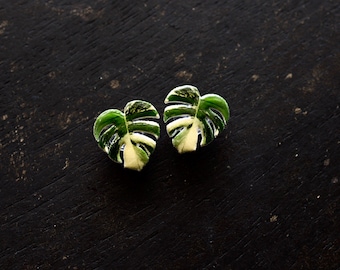 Variegated Monstera Shoe Charm or Pin | Lapel Pin | Shoe Button | Clog Charm | Plant Pin | Plant Shoe Charm
