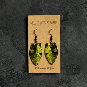 Calocasia Mojito Leaf Earrings: Lightweight Plant Jewelry