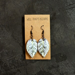 May include: A pair of dangle earrings featuring white and green leaf-shaped resin charms with black metal hooks. The earrings are displayed on a brown card with the text "WELL THAT'S BIZARRE".