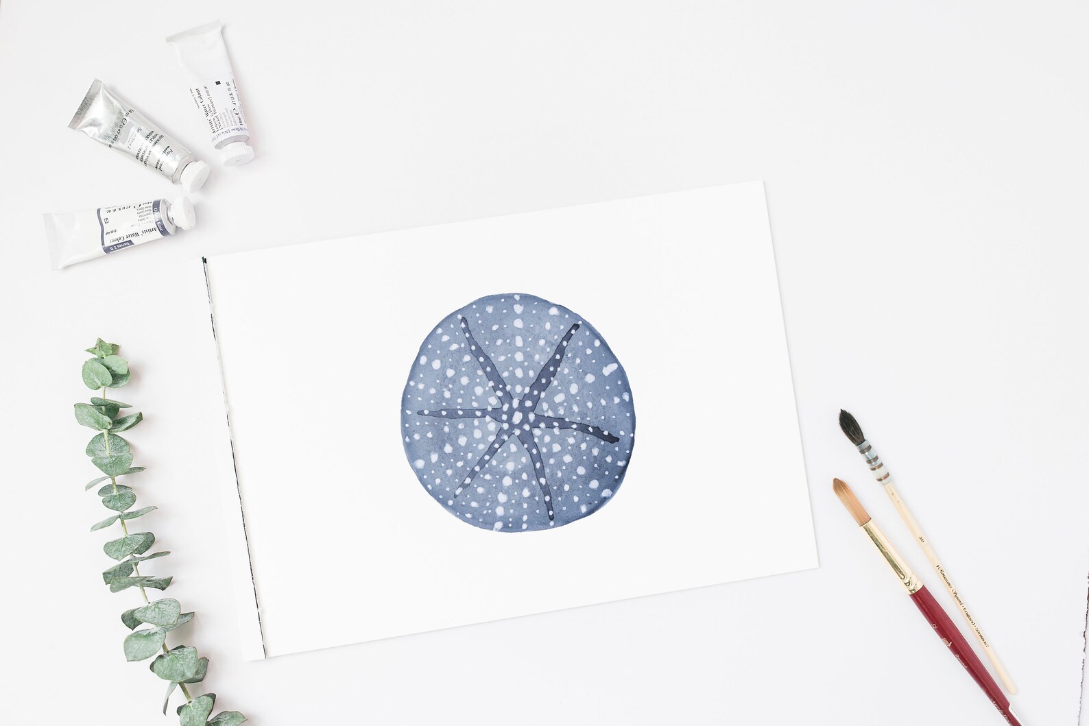 PRINTABLE 8x10 Watercolor Sea Urchin Blue Beach Wall Art INSTANT ...